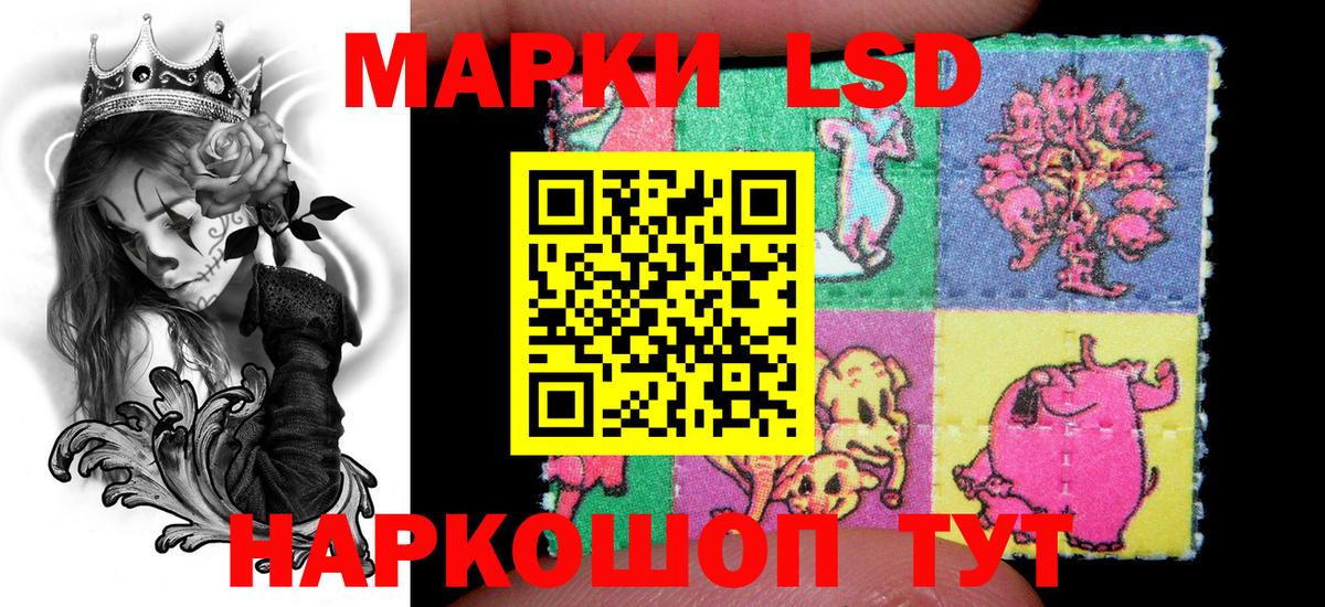 Наркотические марки 1,5мг  Наркотические марки 1,5мг  Клинцы  Вход с VPN 