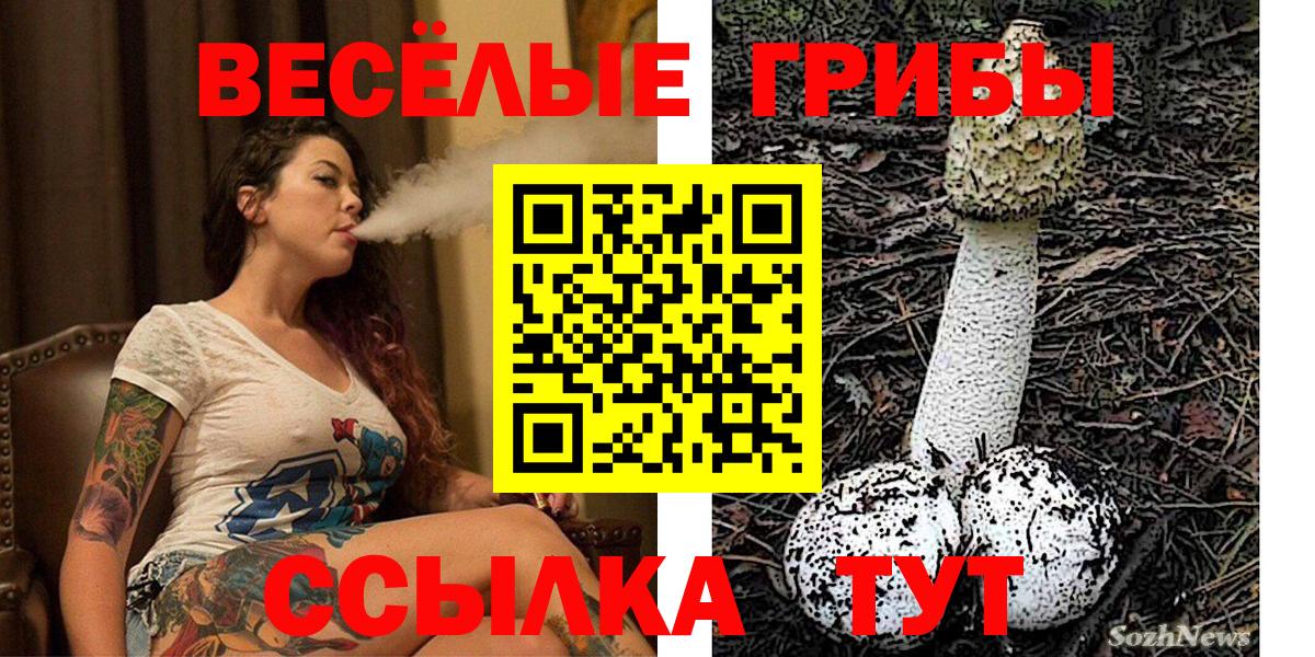 Галлюциногенные грибы прущие грибы Клинцы