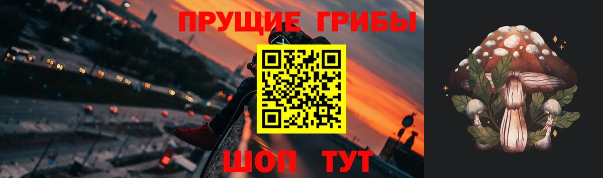 Псилоцибиновые грибы прущие грибы  Вход с VPN  Клинцы 